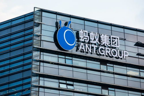 区块链技术软件与服务概览 构建去中心化未来的基石